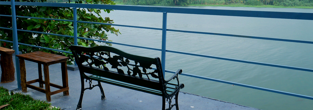 banner1